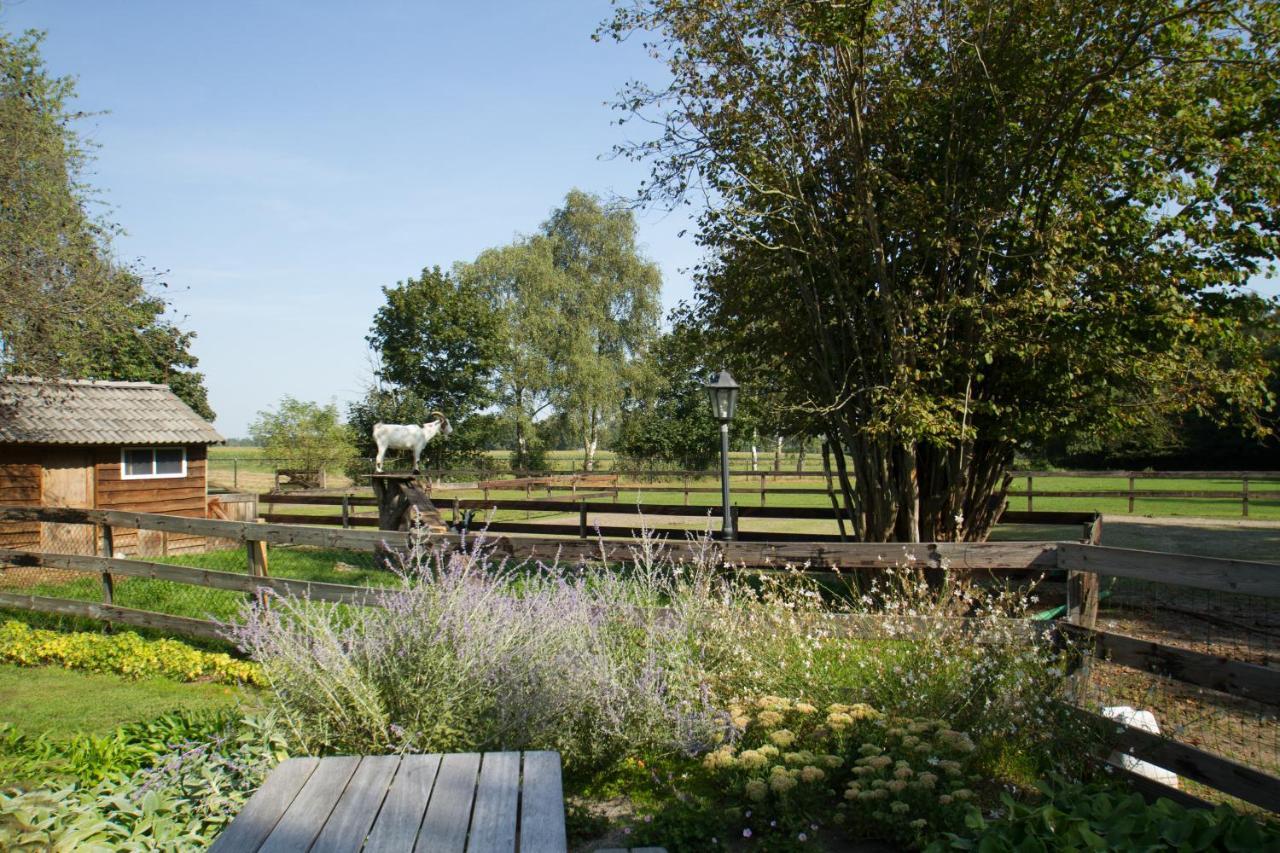 Het Rooversnest Riel Exterior foto